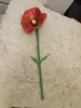 Poppy Flower to Vase