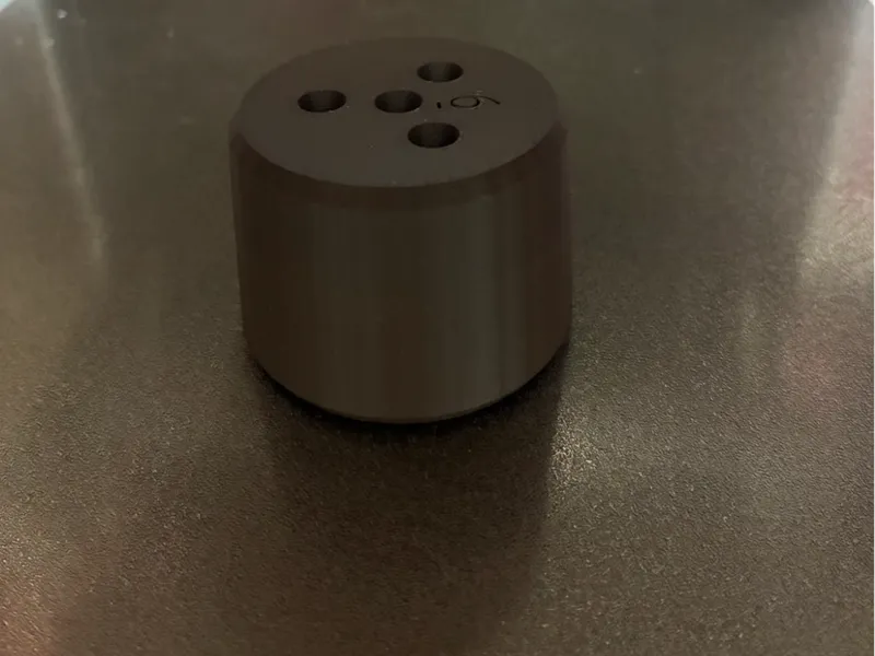 盆栽　幹