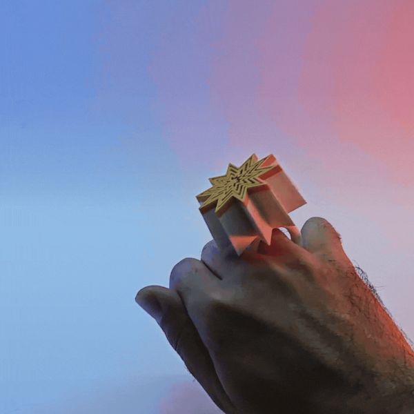 https://makerworld.bblmw.com/makerworld/model/US8b9e3035577de0/design/2024-12-10_a841dee956d63.gif