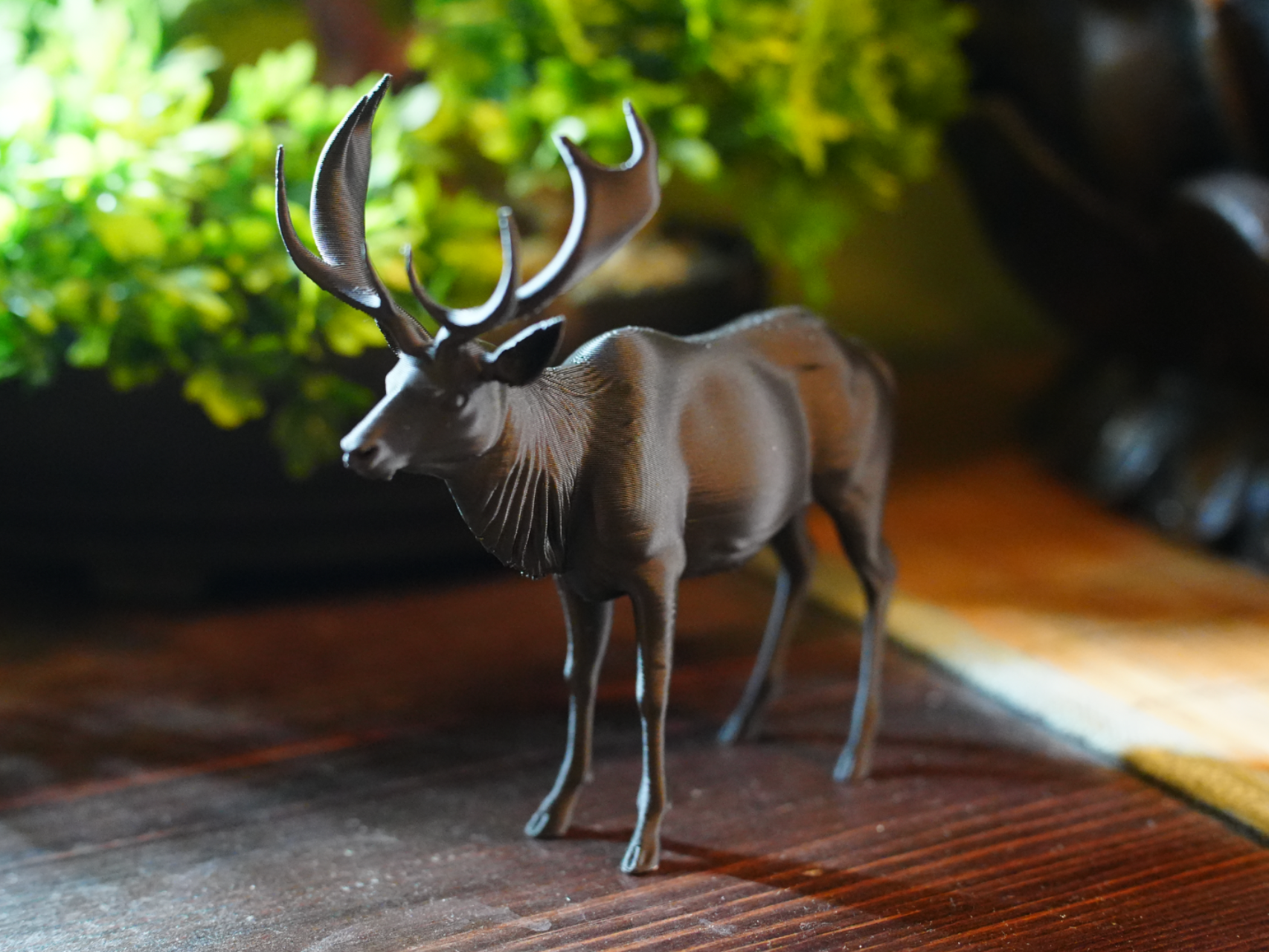 Elk 2