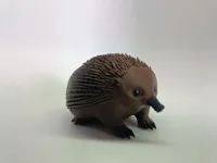 Eddie the Echidna | Small
