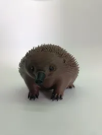 Eddie the Echidna | Large