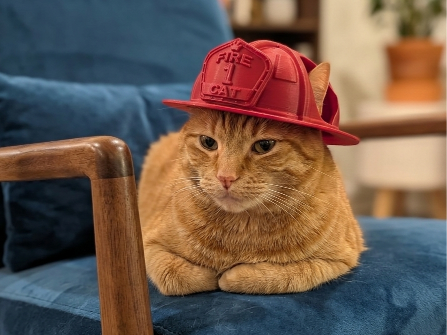 Cat firefighter helmet!