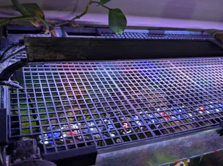 Aquarium Anti-Escape Lid w clips