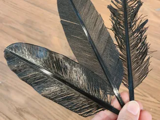 Multimaterial feather challenge for H2D 