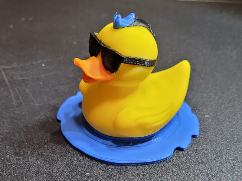 Floating Duck