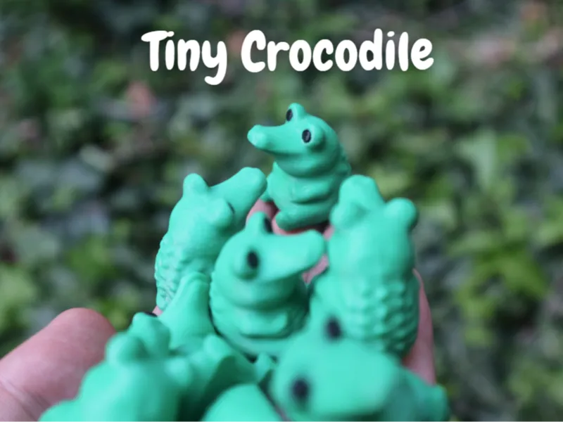 Cute Tiny Crocodile - No Support