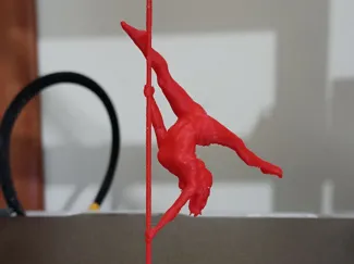 Pole dancer 2