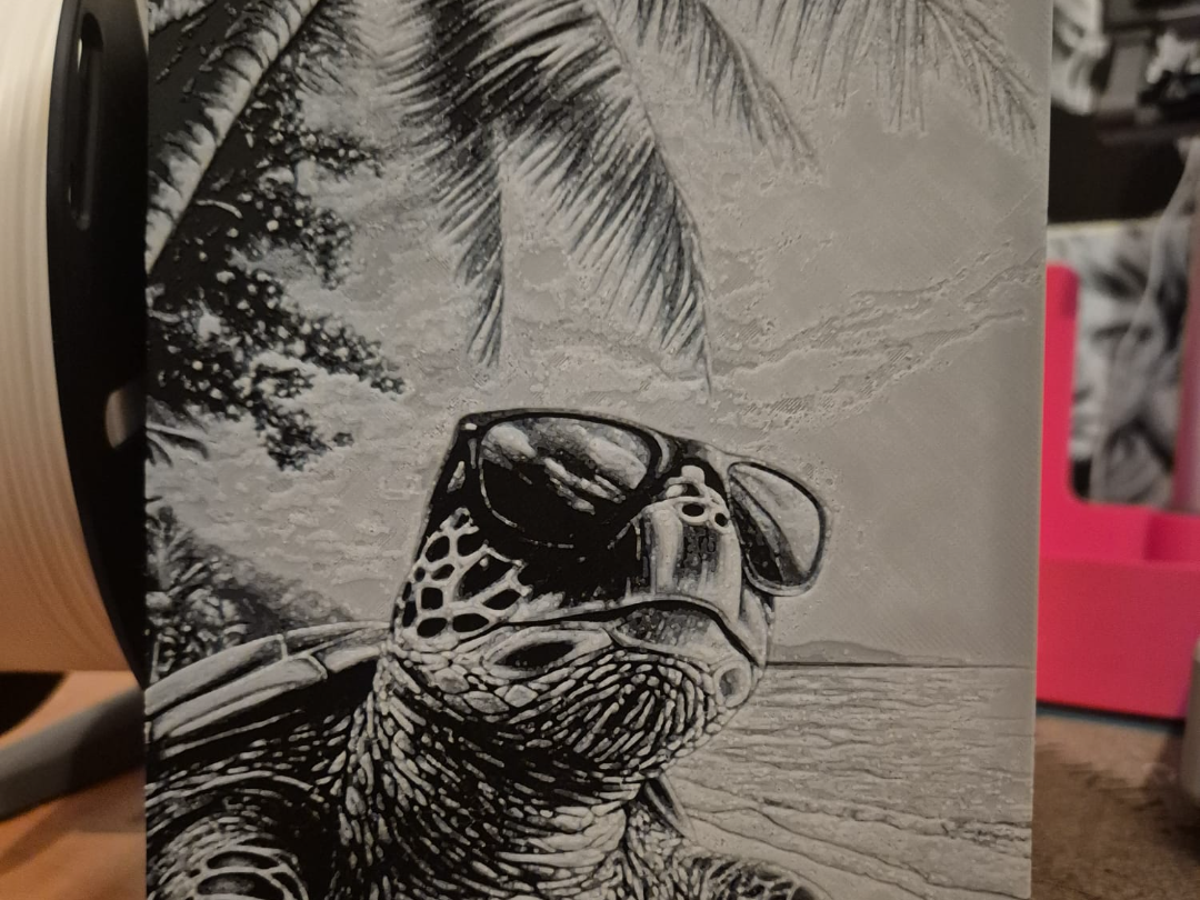 turtle sunbathing hueforge