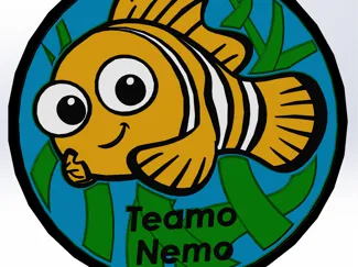 TeamoNemo Coaster