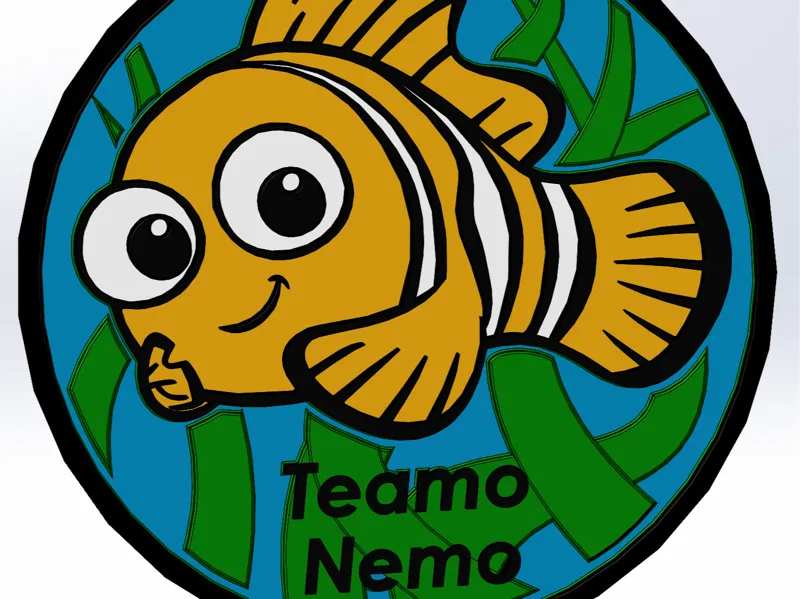 TeamoNemo Coaster