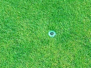 Sprinklerschutzring Hunter PGJ-04 Rotor Sprinkler