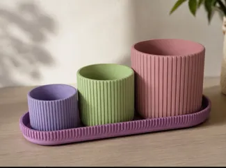 Different jars with tray