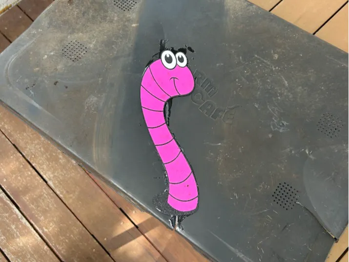 2D Worm