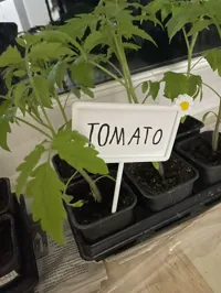 Marque-plante avec étiquette papier — photo 2