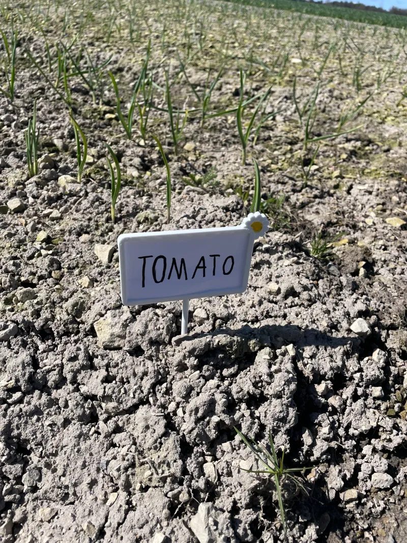 A plant sign 