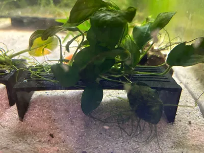 Aquarium Plant Holder