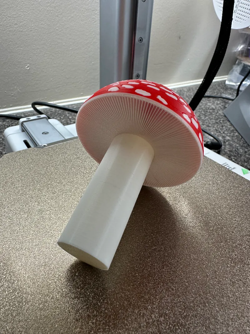 Muscaria Mushroom The Fly Agaric