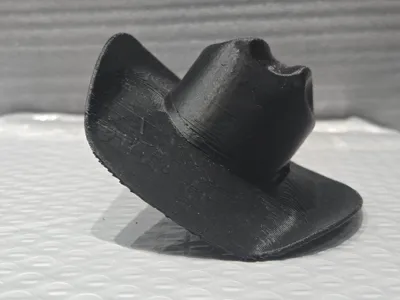 Cowboy hat