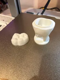 Boîte à dents de lait — photo 4