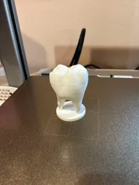 Boîte à dents de lait — photo 5