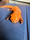 0.16mm layer, 2 walls, 10% infill, PETG