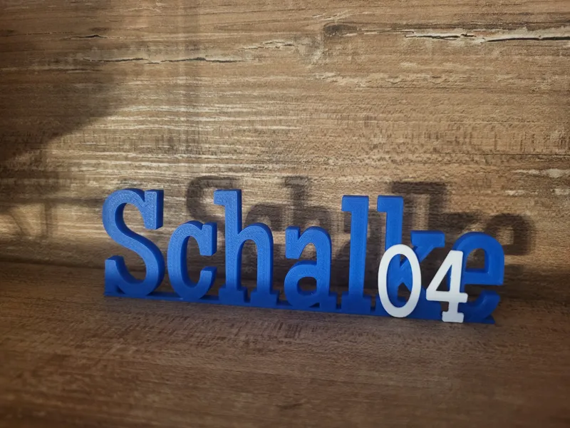 Schalke 04