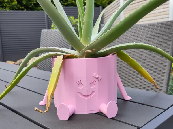 https://makerworld.bblmw.com/makerworld/model/US8bd1613226ac5c/design/2024-06-12_6055f4df7f197.jpg