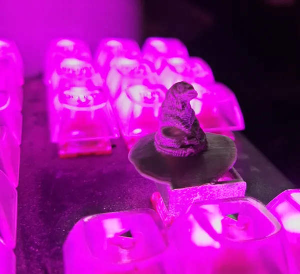 https://makerworld.bblmw.com/makerworld/model/US8bd17b4783abdb/design/2024-06-25_9f29822732bdf.jpg