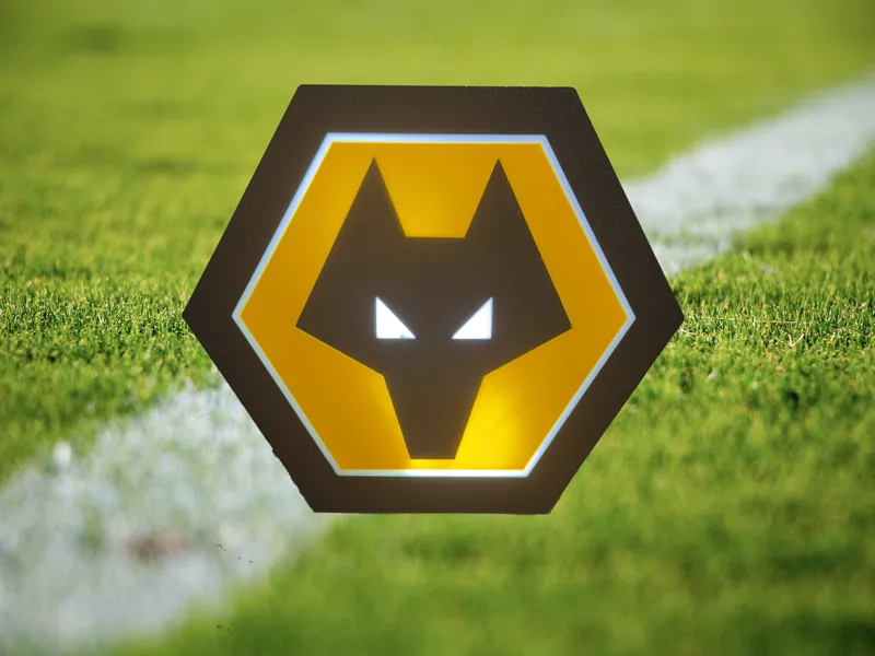 Wolves Light Box
