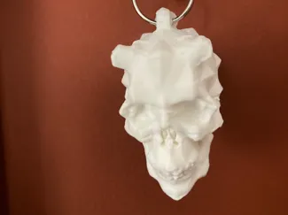 Skull demon keychain