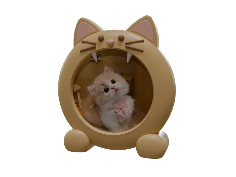 猫咪相框