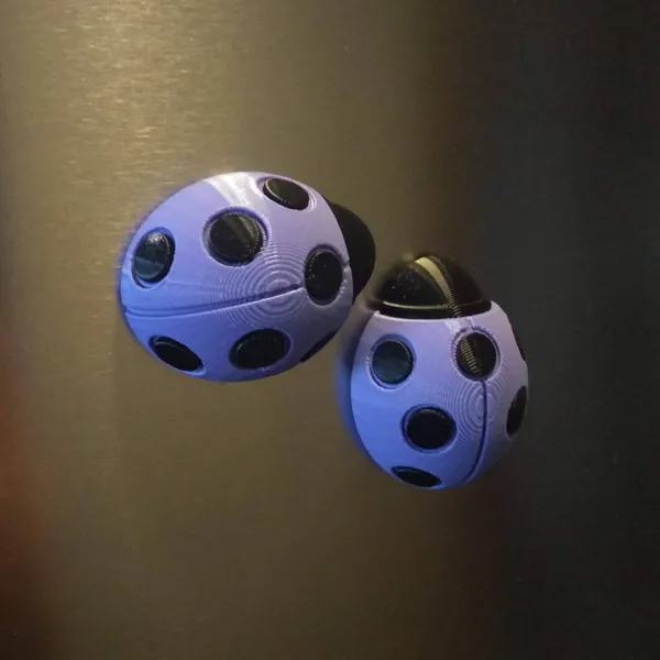 https://makerworld.bblmw.com/makerworld/model/US8bdde74b0addbf/design/2023-11-27_93624b43c7e91.jpg