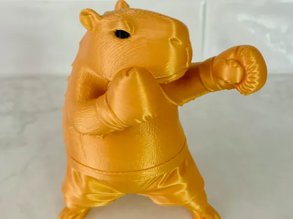 https://makerworld.bblmw.com/makerworld/model/US8bde6b3c6c5504/design/c5f49d612cc8bd92.jpg