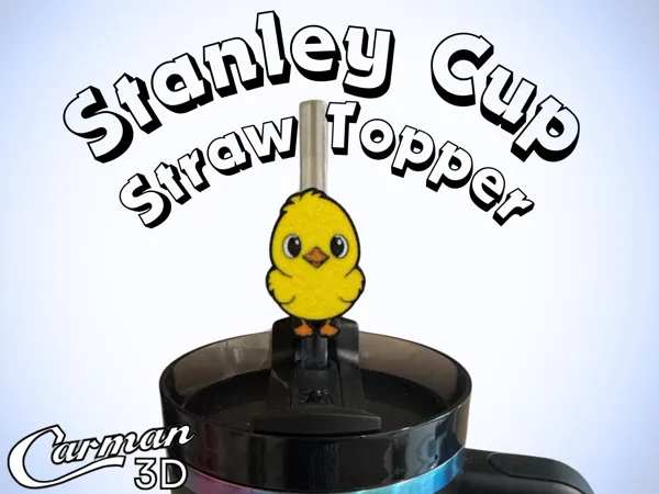 https://makerworld.bblmw.com/makerworld/model/US8bdf9f059648a5/design/2025-04-24_dfc1c4faac5e28.png