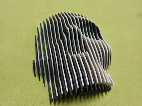 https://makerworld.bblmw.com/makerworld/model/US8beca6e5f8f2e5/design/2026-01-06_d2f2acadcb019.jpg