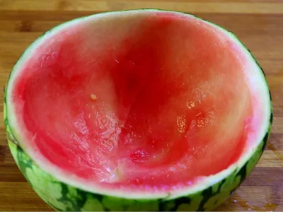 Watermelon Rind Bowl, Quirky Creative Bowl