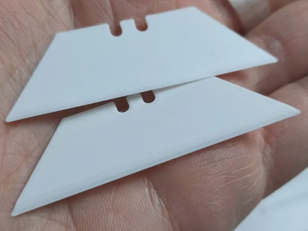 https://makerworld.bblmw.com/makerworld/model/US8bf131ec177bed/design/2025-12-03_7bcc0f01ba099.png