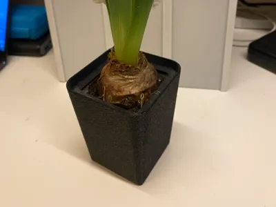 Hyacinth pot
