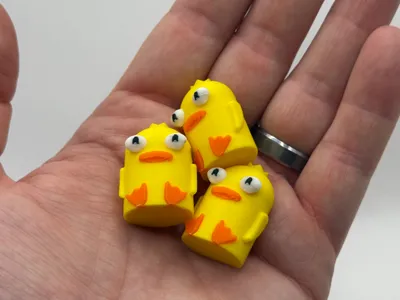 Ducky Momo