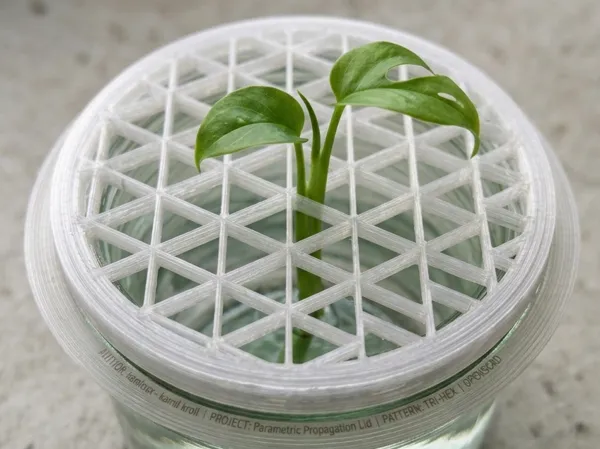 https://makerworld.bblmw.com/makerworld/model/US8bf72b21c8a0be/design/8338c636c85d4daa.png