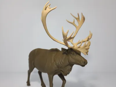 Realistic Caribou / Reindeer