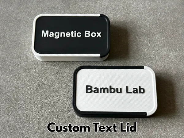https://makerworld.bblmw.com/makerworld/model/US8bf9ab9c3b2f19/design/2025-07-06_c46061d5bd62e.png