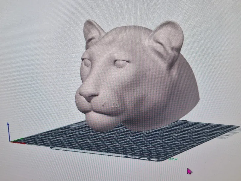 Leopard