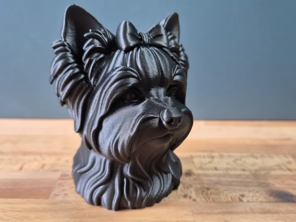 https://makerworld.bblmw.com/makerworld/model/US8bfc683a6ee09c/design/2025-05-28_368fe09a7449b.jpg