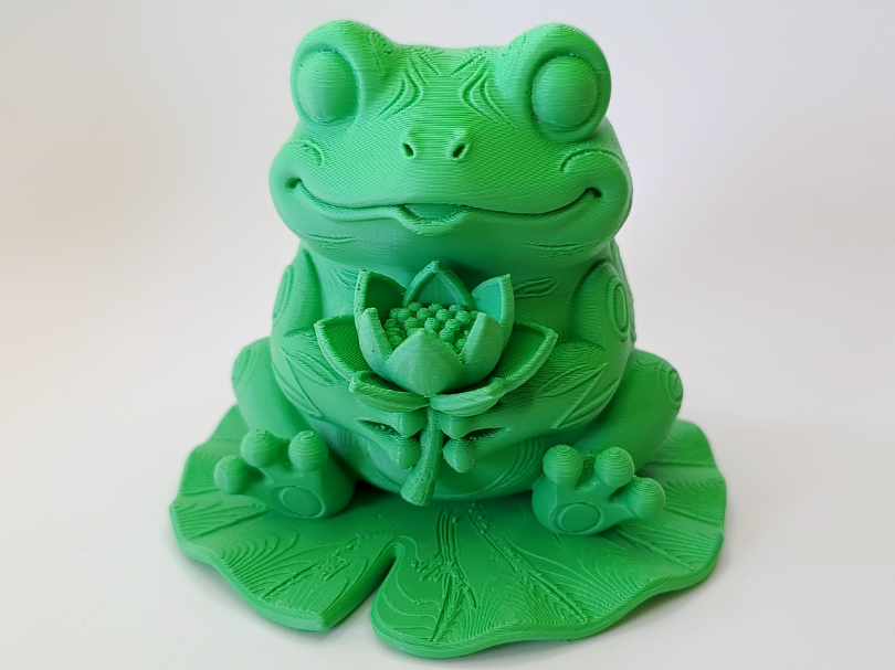 Frosch mit Lotosbluete auf Seerosenblatt