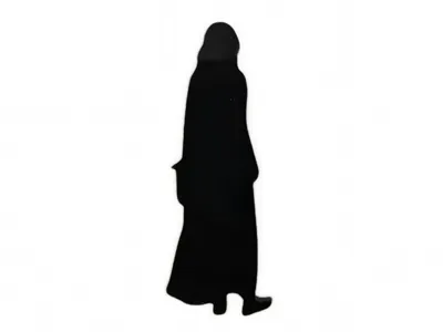 Silhouette Figure 2