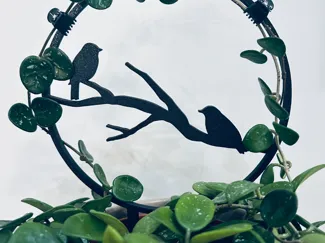 Bird Plant Trellis
