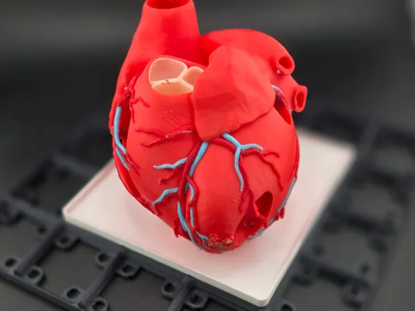 https://makerworld.bblmw.com/makerworld/model/US8c0fdca5f435e7/design/2026-01-09_03e2b82289434.jpeg