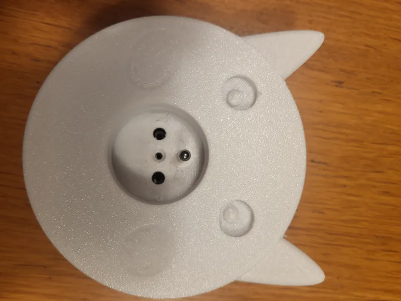 GIRA 55 socket  funny cover with access  protect 